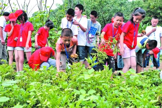 家庭收入“10级表”出炉, 中产阶级最容易出”尖子生“, 你中了吗