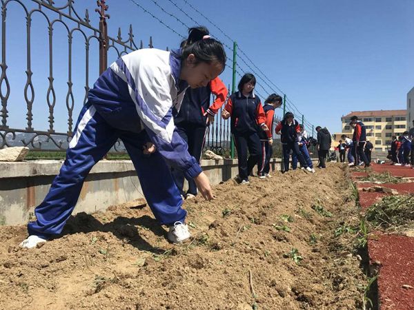 浅谈高职经济法课程混合式教学实践与探索, 提升课程质量和水平