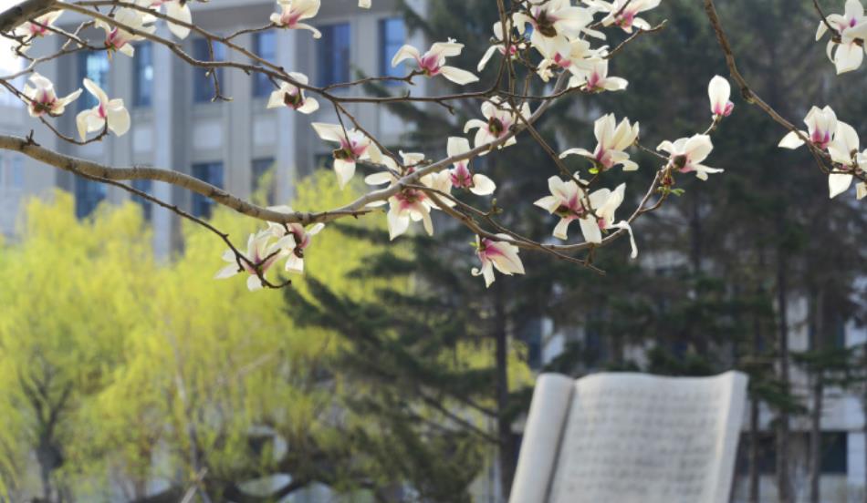 高分复读生再获“超高分”, 公立学校很无奈, 私立学校却乐开花