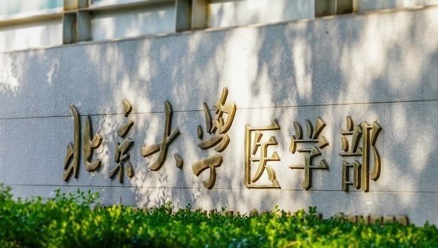 400多分捡漏上985, 今后能毕业吗? 网友: 哈哈哈, 你可能不懂大学