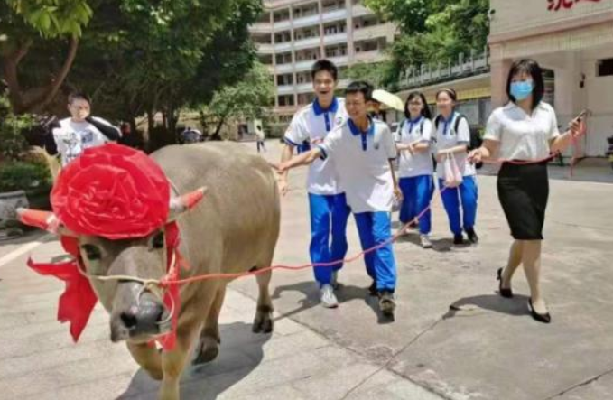 高考全校第一, 家长送学校“一头牛”, 网友: 下届家长压力大了