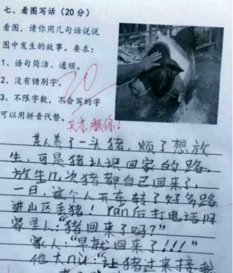 小学生看图写话火了, 机智回答“人丑就要多读书”, 老师哭笑不得