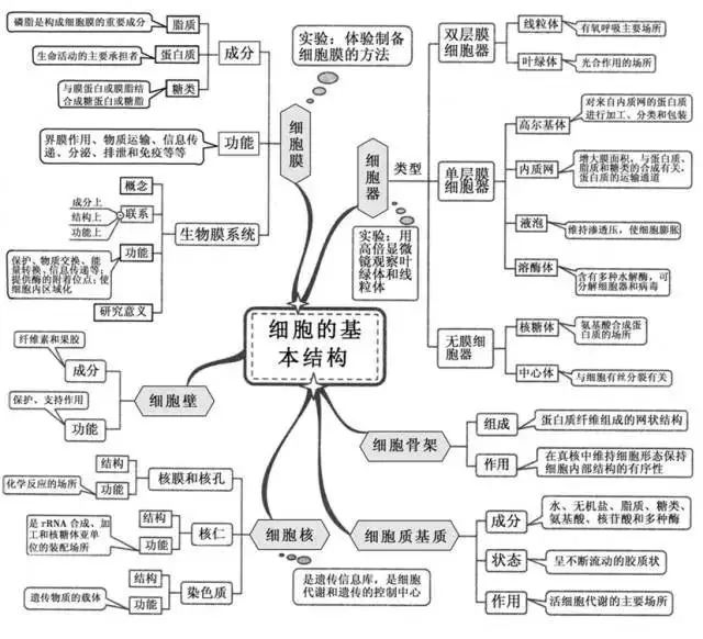 2022高三一轮复习攻略: 高考生物极简思维导图全梳理