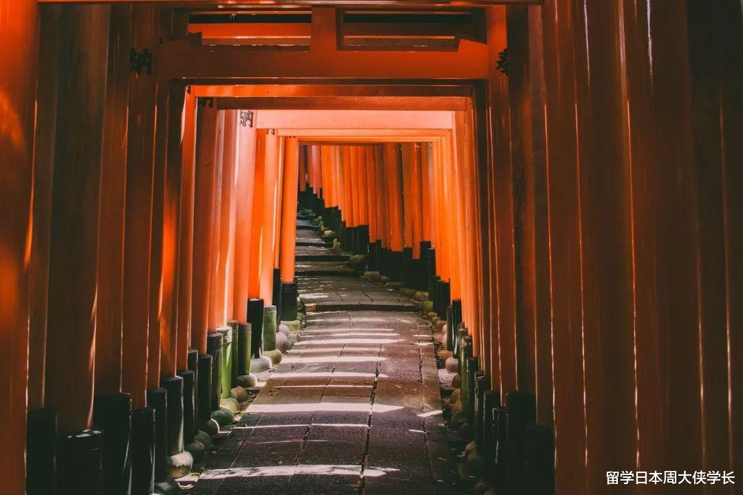 给你不同的选择——日本医学院校介绍