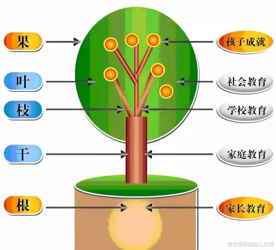 “博士老爹”6子女5博1硕, 每个优秀孩子背后都是父母的奋力托举