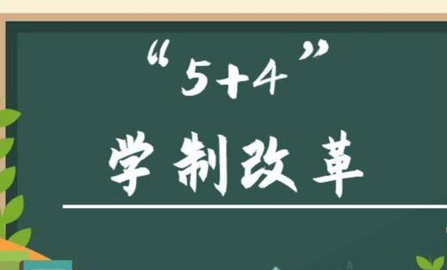 九年义务教育改为“5+4”, 秋季开学实施? 教育部给出正式回应