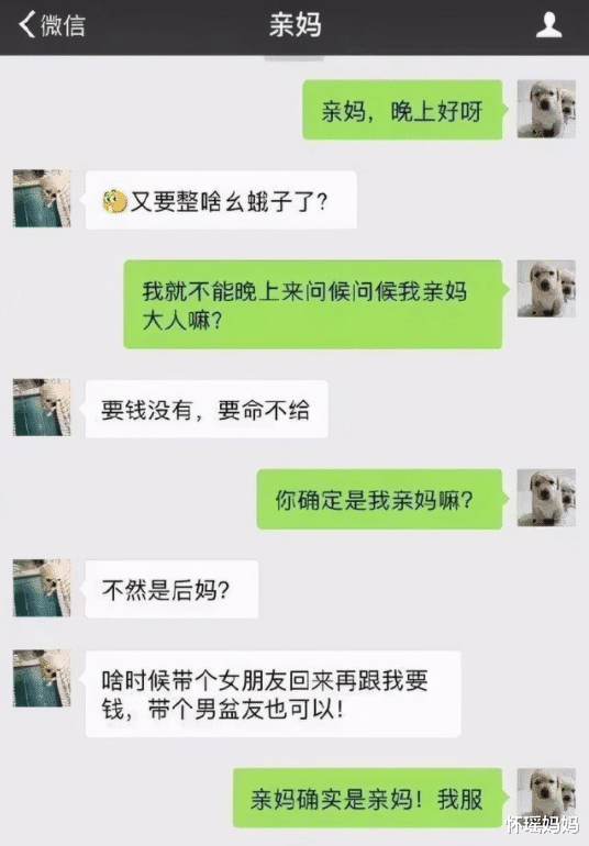 讨要生活费也要优雅, 大学生为五斗米“折腰”, 场面叫人啼笑皆非