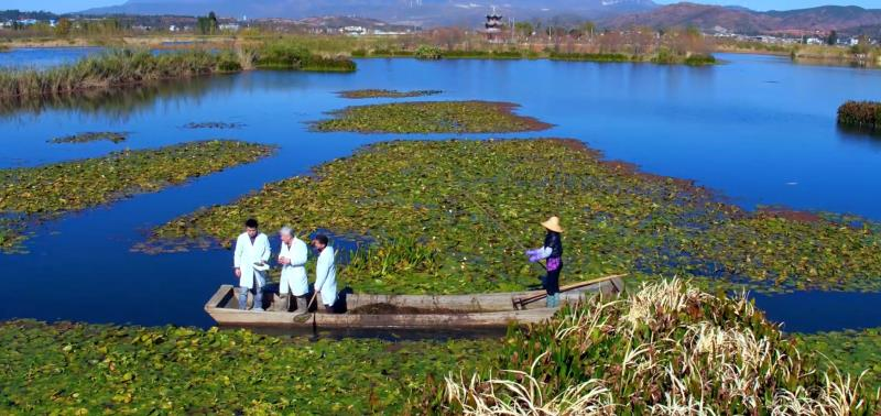 上海交大这支黄大年式教师团队把科研论文写在祖国大地上