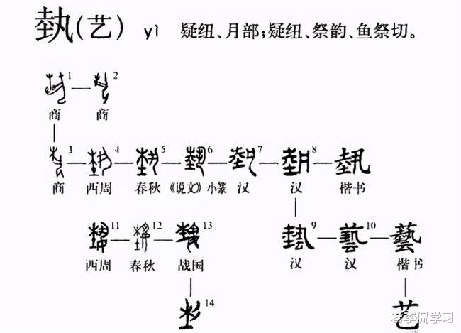 山东大学出现“低级错误”, 校庆大屏现错字, 网友直言是985吗