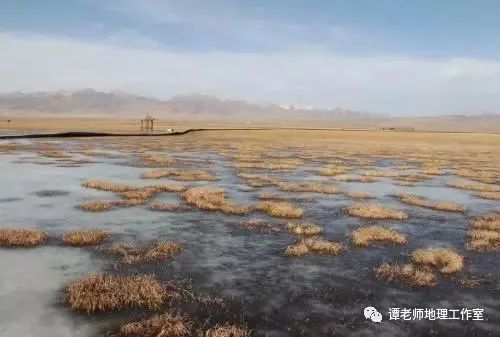 [地理探究]高考地理常考的沼泽的概念及成因，附沼泽专题设计