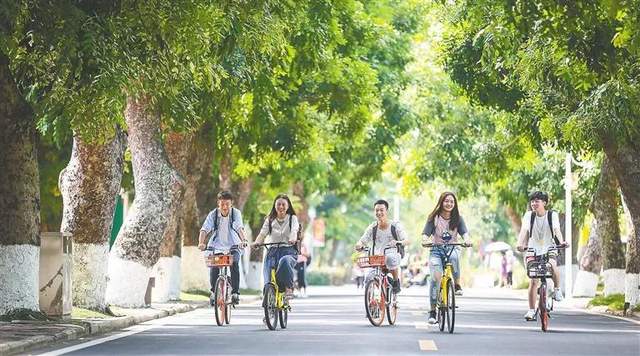 当代大学生内卷现状: 宁可累死自己, 也要卷死同学