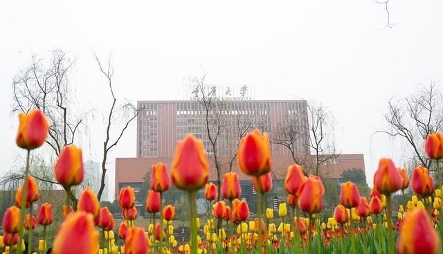 1952年的重庆大学拆分, 6大学院仅剩工学院, 其中3个学院入川大!