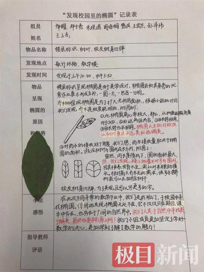 美术老师上了一节数学课? 一节《椭圆》课, 五科老师齐出手