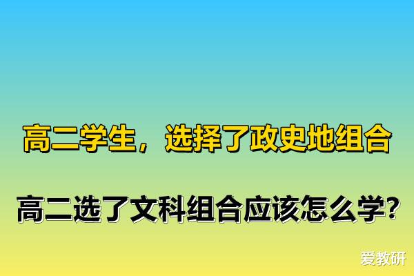 高二学生, 选择了政史地组合, 高二选了文科组合应该怎么学?