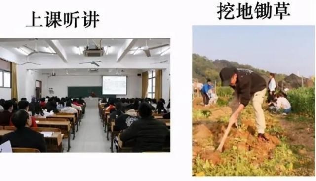 “老师, 我的作业被鸡吃啦”, 农学生挂科理由有多奇葩, 大开眼界