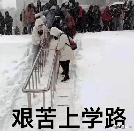 大学生堆雪人的最高境界, “大卫头像”不算啥, 看到最后一个蒙了