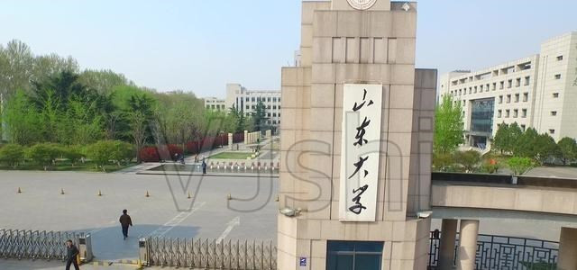 山东大学3位美女教授, 才华与颜值齐飞, 这才是我们该追的“星”