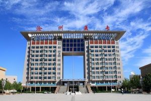 网友建议“沧州医专合并到河北水利电力学院”, 建议完全不可取