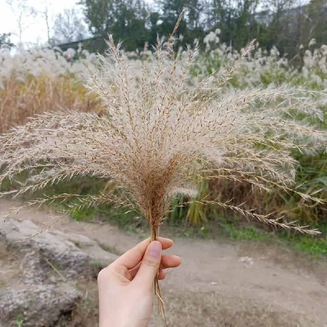 课堂提质助双减 专家领航促成长，太原市实验小学数学组系列教研活动纪实