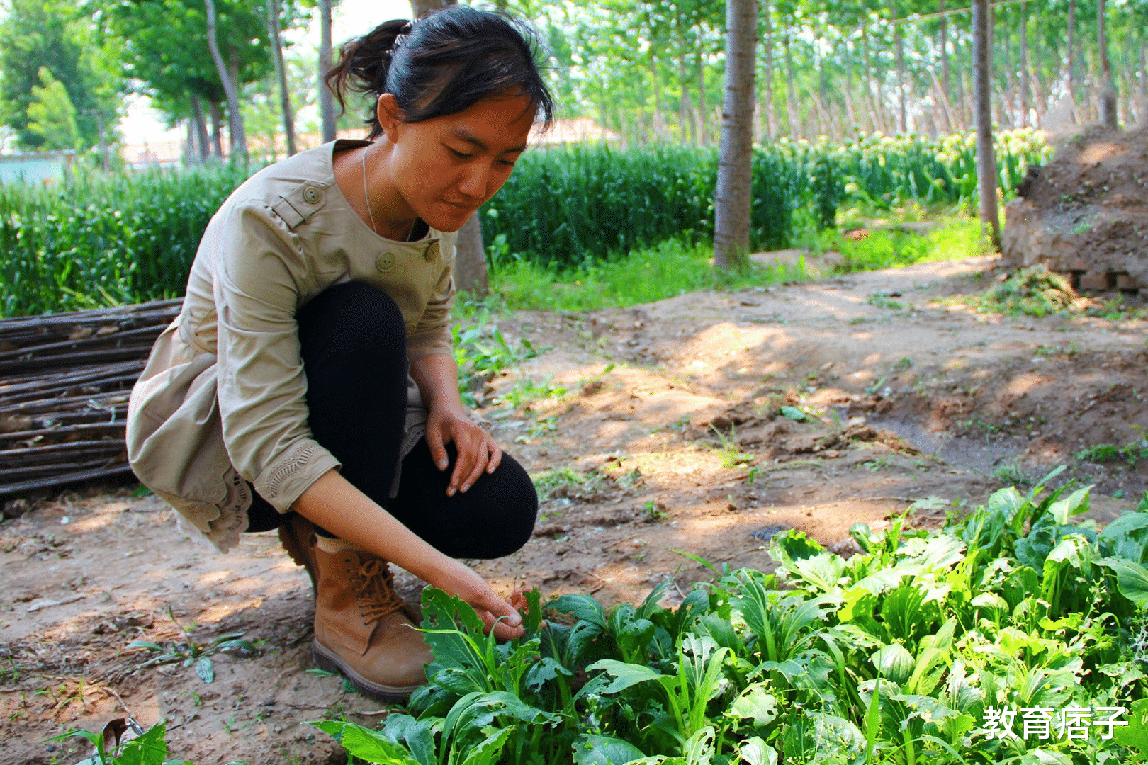 她是清华美女博士, 12年前放弃城市百万年薪回乡种地, 现在怎样?