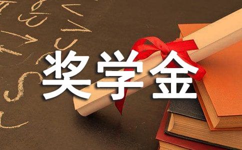 看见别人有奖学金, 你“酸”了吗? 这4类奖学金本专科学生都能领