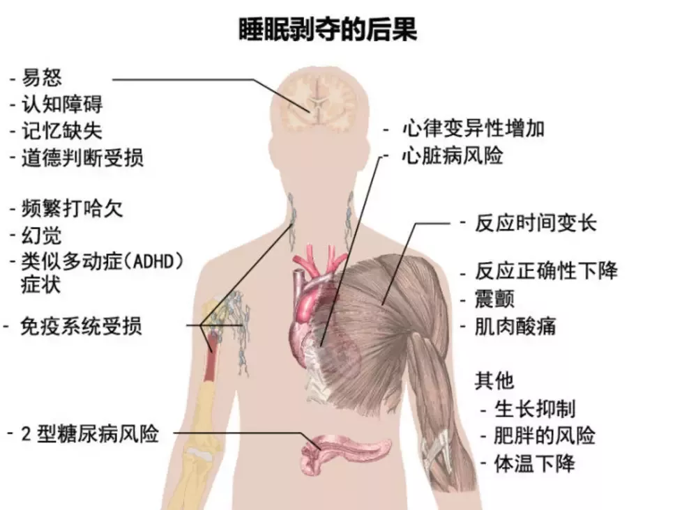 初中生每天睡多久才能不傻?