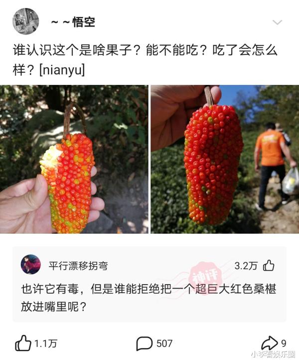 神回复: 你的高中有哪些恶心的校规?