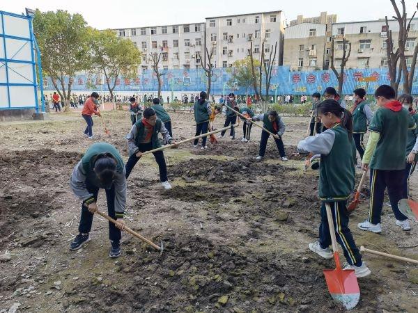 汉铁初中开设校本课程“校园有点田”，一发布即被学生“秒抢”