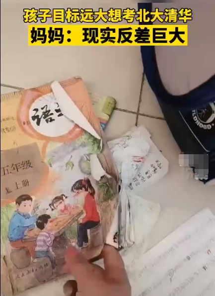 江苏小学生破烂课本上写目标清华北大, 网友调侃: 读破万卷书