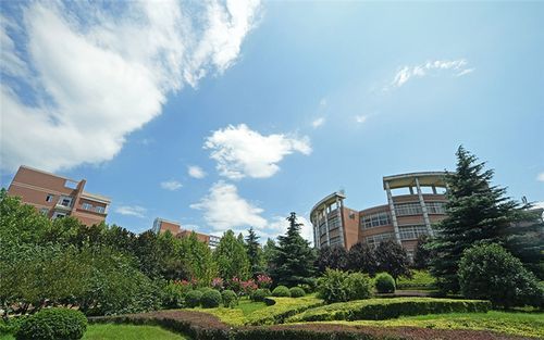 今年是河北新高考第一年, 这四所大学在河北招生存在“断档”现象