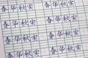 新一代的筑基者! 河南9岁小学生苦练400天, 字迹工整如“印刷体”