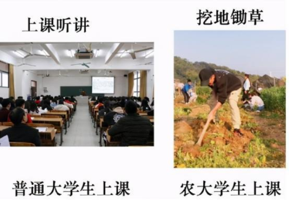 农大学生因挂科郁闷, 理由牵强难以接受, 网友看后不厚道地笑了