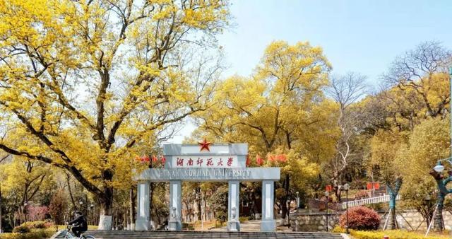 湖南师大本科生就业报告出炉, 升学率不到30%, 还没郑州大学高