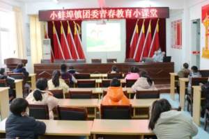 小蚌埠镇团委开展“青春教育”小课堂主题活动