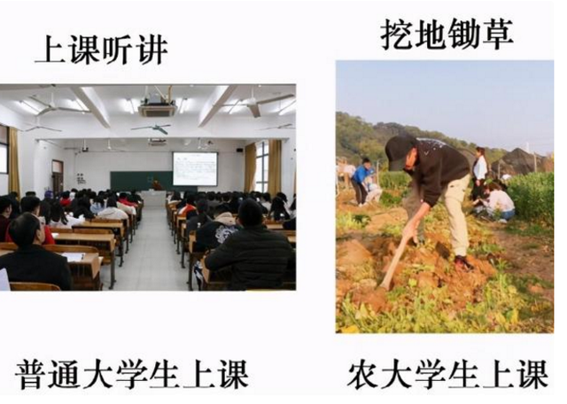 学农的孩子挂科理由多离谱? 坎坷的毕业之路, 网友: 既心疼又想笑