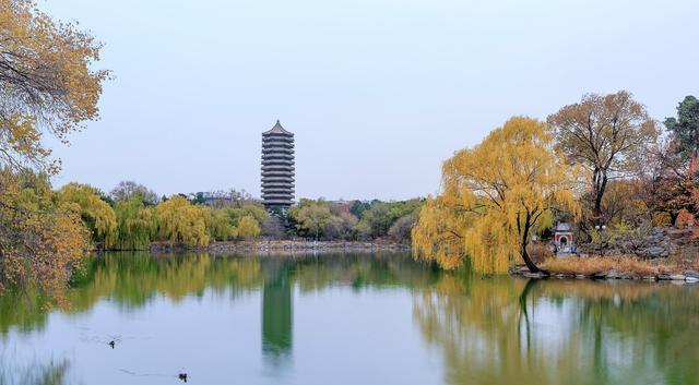 浙江师范大学拟聘人员公布, 毕业来自北京大学、湖南大学、国科大