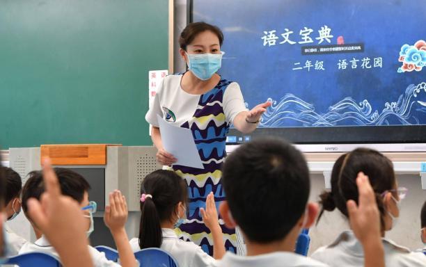 教资考生超1100万, 中小学教师岗位, 咋成了大学生眼中的香饽饽?