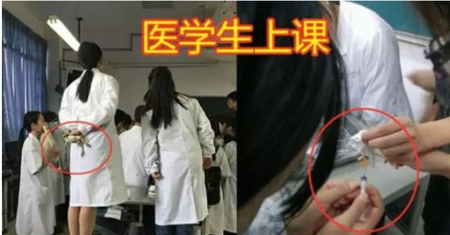 为完成实验, 医学生有多“拼”? 网友: 不达目的誓不罢休