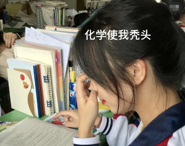 偏科的人可以有多偏? 答案真实又无奈, 网友: 这真不怪学生