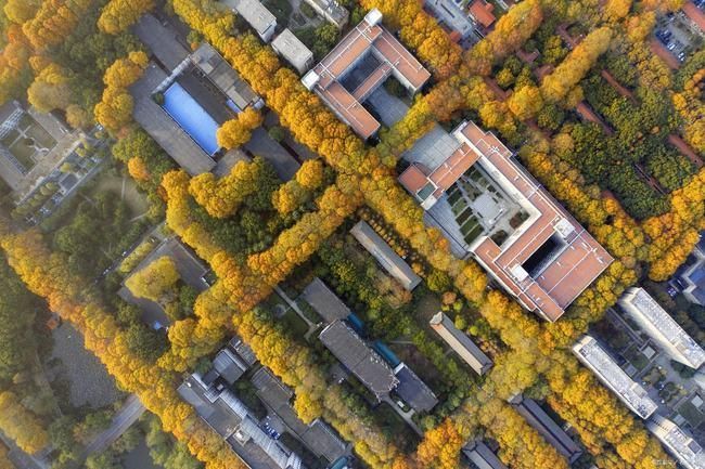 解读中部地区的四所好大学, 备受全国考生青睐, 未来就业质量高