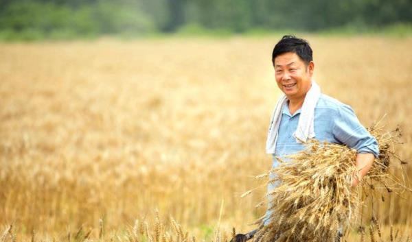 恭喜! 河南“喜迎”985高校布局, 打造新校区, 却选择落户小县城