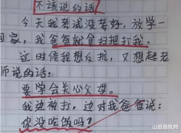 小学生作文《我的小姨》走红网络, 小姨哭笑不得: 我还能嫁出去吗