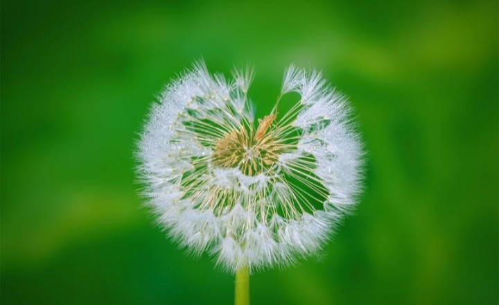 教师职称的越档晋级是造成岗位工资差距的主因, 中级进档势在必行