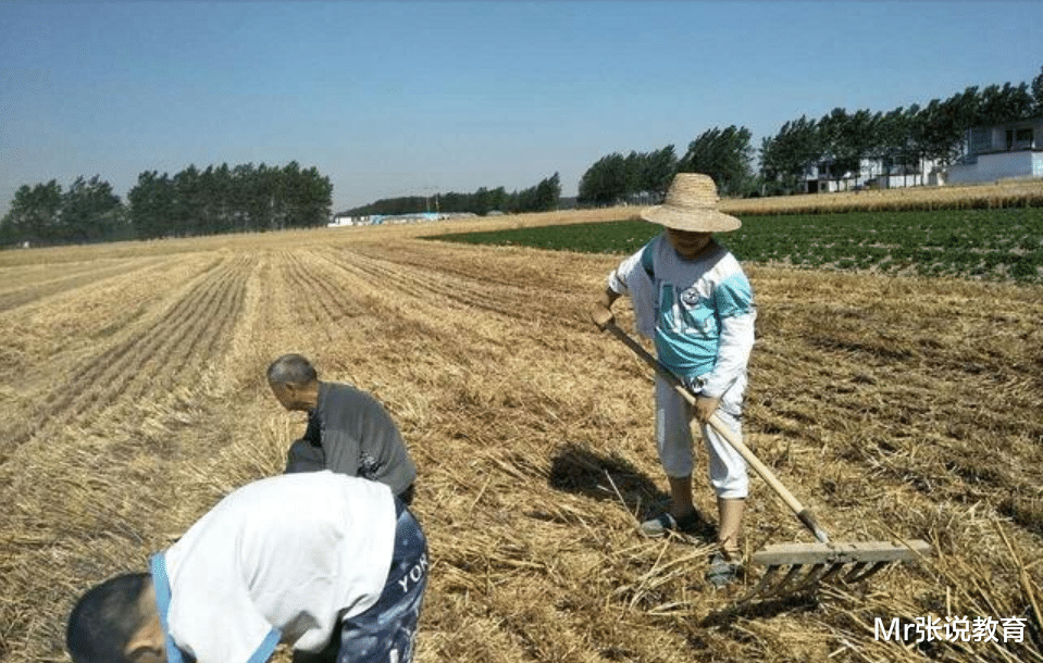 末流985西北农林科技大学和顶流211华中农业大学, 鸡头凤尾如何选