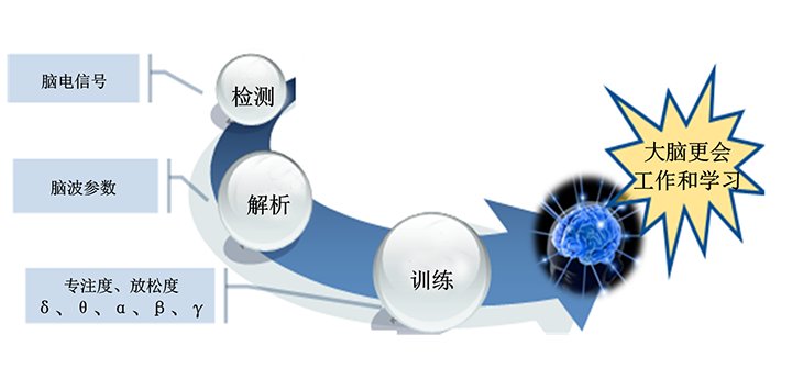 脑电反馈注意力训练提升学生深度思考的能力