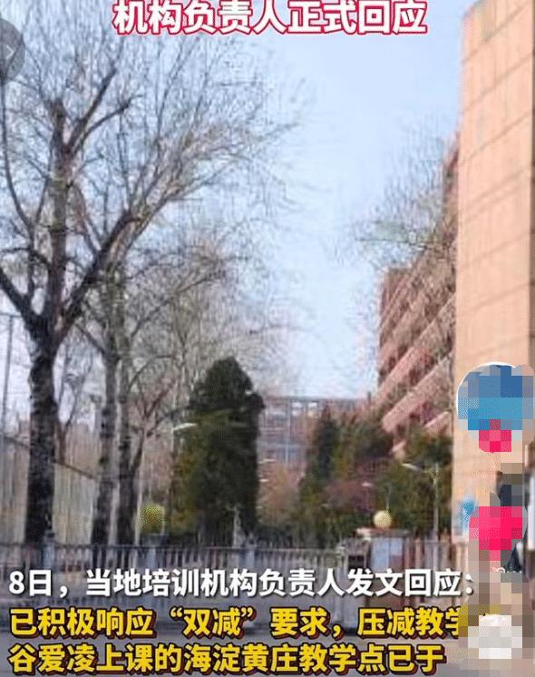 谷爱凌妈妈赞誉补习班提示我们: 别埋没培训机构里的优秀老师