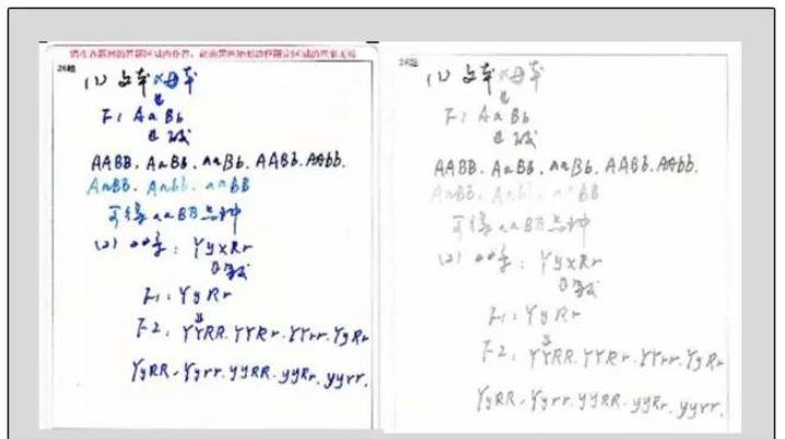 当“奶酪字体”遇上电脑阅卷, 仿佛二维码成精, 阅卷老师想给0分