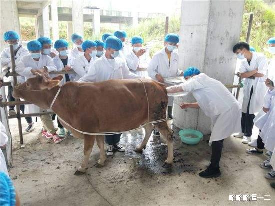 上职高不丢人, 职高也能考大学! 教育部: 推动
高质量发展