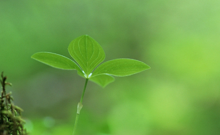 教师职称的晋级和进档应该正常化, 切实通过岗位工资提高教师待遇