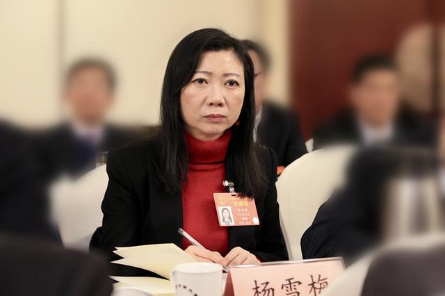 杨雪梅代表: 让更多河南学子在家门口上好大学